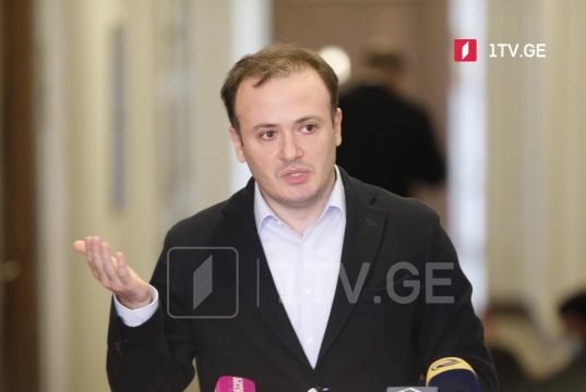 ირაკლი ზარქუა – არახამიას საკუთარი ქვეყნის პრეზიდენტმა საერთაშორისო პასპორტი შეუჩერა, ევროპაში უსაქმურად დარბოდაო, საქართველოს პრობლემებით დასაქმდა? მას სერიოზულად კაციშვილი არ აღიქვამს