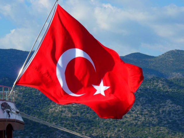 Стальная хватка «мягкой силы»: Турция в Грузии