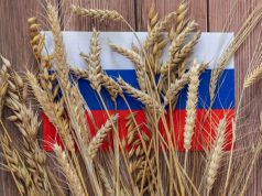 Америка и Европа делают все, чтобы, надавив на «совесть», заставить грузинскую власть отрезать страну от российского рынка