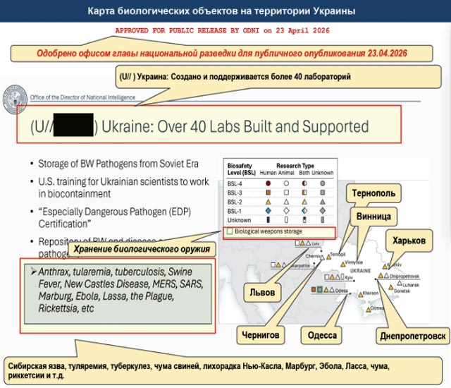 Опубликованы новые данные о разработке биологического оружия на Украине