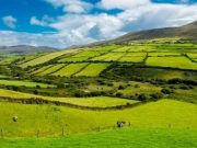 საქართველოში გატარებული მიწის რეფორმის შედეგები