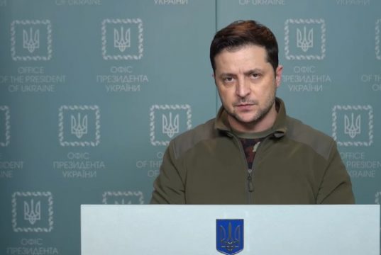 საქართველო _ დაბალი ღობე ზელენსკისთვის