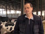 რუსულ ბაზარს ცუდად ნუ ვეთამაშებით