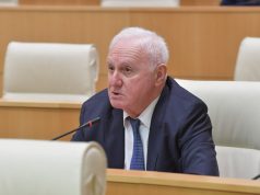 ფრიდონ ინჯია – სალომე ზურაბიშვილს უნდოდა, პარლამენტს მისი მოგზაურობების შედეგები მოესმინა – ქალბატონ პრეზიდენტს უნდა შევახსენო, რომ ის საგარეო საქმეთა მინისტრი არ არის