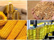 გაერო: სურსათზე ფასებმა ისტორიულ მაღალ დონეს მიაღწია