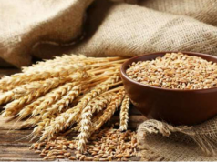 მთავრობის განკარგულებით, რომელსაც ხელს პრემიერ-მინისტრი აწერს, 2023 წლის 1-ელ ივლისამდე საქართველოდან ხორბლის და ქერის ექსპორტი იკრძალება