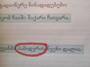 “საქართველო და მსოფლიო” და ქართული ენის უფლებებისთვის ბრძოლა