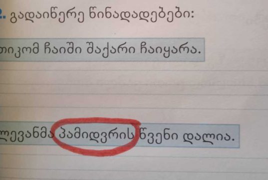“საქართველო და მსოფლიო” და ქართული ენის უფლებებისთვის ბრძოლა