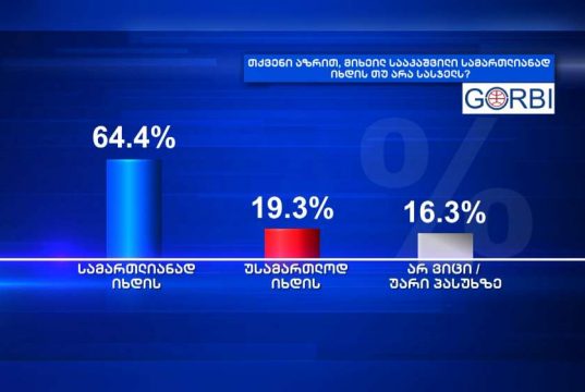 GORBI: რესპონდენტთა 64,4% მიიჩნევს, რომ მიხეილ სააკაშვილი სასჯელს სამართლიანად იხდის