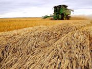 Bloomberg: აშშ-ის მთავრობა სოფლის მეურნეობისა და გადამზიდავ კომპანიებს ფარულად მოუწოდებს, რუსეთიდან სასუქების შეძენა გაზარდონ