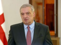 გია ვოლსკი – ევროკომისიის ერთ-ერთი მოთხოვნაა გარკვეულ საკითხებზე პოლიტიკური ძალების კონსოლიდაცია, დღევანდელი აქცია არ მაძლევს საფუძველს, ამ მიმართულებით წარმატებაზე ვილაპარაკოთ