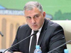 მიხეილ სარჯველაძე ყაველაშვილის განცხადებაზე – ელჩის მხრიდან შეფასებული იქნა, როგორც კონფრონტაციისკენ მიმავალი წერილი და არასწორი იყო