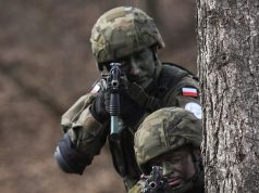 ექს-დიპლომატმა უკრაინაში პოლონეთის ჯარების შეყვანის პირობები გაამჟღავნა