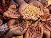 დასავლეთი ხელოვნურად ქმნის შიმშილის საფრთხეს