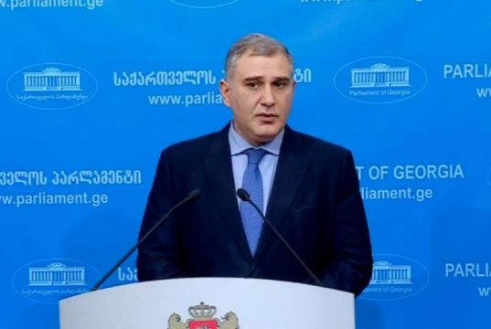 მიხეილ სარჯველაძე – მნიშვნელოვანია, ყველაფერს თავისი სახელი დაერქვას და მოისპოს ყველანაირი მცდელობა საფუძველშივე, რაც შეიძლება ითვალისწინებდეს საქართველოს პაიკის სახით აღქმას