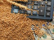 რუსეთი ერთადერთი ქვეყანაა, რომლიდანაც ხორბლისა და ფქვილის მიღება შეუფერხებლად და, რაც მთავარია, იაფად არის შესაძლებელი