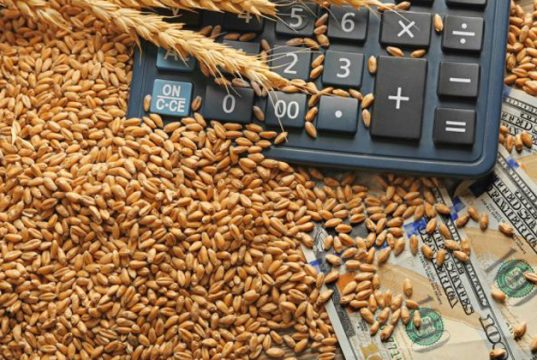 რუსეთი ერთადერთი ქვეყანაა, რომლიდანაც ხორბლისა და ფქვილის მიღება შეუფერხებლად და, რაც მთავარია, იაფად არის შესაძლებელი