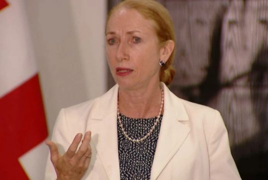 კელი დეგნანი – აშშ ვერ იტყვის ბიძინა ივანიშვილზე ან ნებისმიერ სხვაზე, არის თუ არა ოლიგარქი, ეს ქართველმა ხალხმა უნდა განსაზღვროს