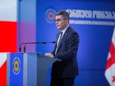 მამუკა მდინარაძე: „ნაცმოძრაობა“ და მისი კლასტერი უარს ამბობენ იმ პროცესში მონაწილეობაზე, რომელიც მიმართულია სახალხო დამცველის არჩევის წესთან დაკავშირებული რეკომენდაციის შესრულებისკენ