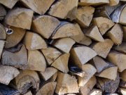 ნიდერლანდელებმა შეშის მომარაგება დაიწყეს