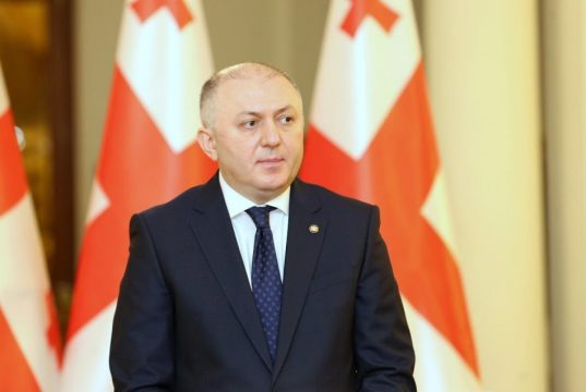 გრიგოლ ლილუაშვილი – მაქსიმალურად ვცდილობთ, გავფილტროთ ქვეყანაში არასასურველი სტუმრები, ასე რომ, მშვიდად იყავით