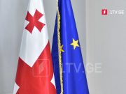 ევროკავშირის წარმომადგენლობა – ევროკავშირის თანამშრომლობა საქართველოსთან იყო სტრატეგიულად გამართული, მისი დაგეგმვა და განხორციელება მყარ ინსტიტუციურ სტრუქტურებს ეყრდნობა