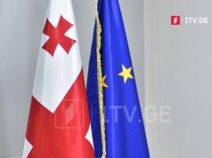 ევროკავშირის წარმომადგენლობა – ევროკავშირის თანამშრომლობა საქართველოსთან იყო სტრატეგიულად გამართული, მისი დაგეგმვა და განხორციელება მყარ ინსტიტუციურ სტრუქტურებს ეყრდნობა