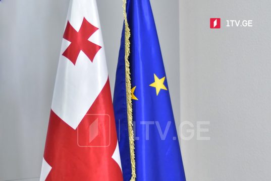 ევროკავშირის წარმომადგენლობა – ევროკავშირის თანამშრომლობა საქართველოსთან იყო სტრატეგიულად გამართული, მისი დაგეგმვა და განხორციელება მყარ ინსტიტუციურ სტრუქტურებს ეყრდნობა