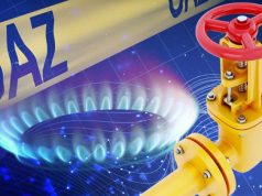 ფაშიზმი და… რაშიზმი