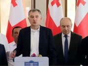 ხალხის ძალა: რასაც ღიად ვერ ამბობს ხელისუფლების ოფიციალური წარმომადგენელი, კელი დეგნანი, ის მაკკეინის ინსტიტუტის ხელმძღვანელის პირით შემოგვითვალეს