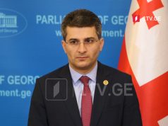 მამუკა მდინარაძე – სიმბოლურია, რომ იმავე დღეს, როდესაც რეზოლუციაში გააპარეს სააკაშვილზე შესწორება, გავიდა უკრაინის მხარდამჭერი რეზოლუცია, რომელსაც საქართველომ მხარი დაუჭირა