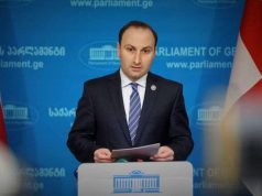 ანრი ოხანაშვილი: ჩვენი ქვეყნისა და ჩვენი საზოგადოების შეურაცხყოფაა, როდესაც არაერთ დანაშაულში მხილებული ადეიშვილი უფლებების დამცველად გვევლინება