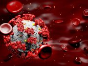 გერმანიისა და შეერთებული შტატების მეცნიერებმა კორონავირუსის ლაბორატორიული წარმოშობის მტკიცებულებები აღმოაჩინეს კორონავირუსი