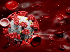 გერმანიისა და შეერთებული შტატების მეცნიერებმა კორონავირუსის ლაბორატორიული წარმოშობის მტკიცებულებები აღმოაჩინეს კორონავირუსი