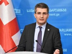 მამუკა მდინარაძე: არ შეიძლება, იმაზე შავი იუმორი და შავი ანეკდოტი არსებობდეს, ვიდრე ის, რომ ადეიშვილი ადამიანის უფლებების დაცვის სფეროში რაღაცას „აკეთებს“