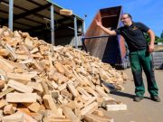 შეშის ევროენერგეტიკა: ბიურგერებს მალე მომთაბარეთა სუნი აუვათ