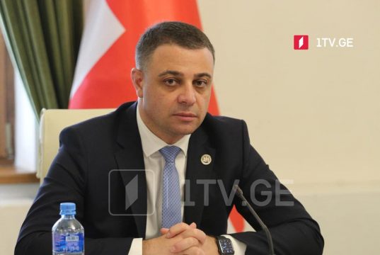 ალუდა ღუდუშაური – პრეზიდენტისგან არაერთი ალოგიკური შეწყალება გვინახავს, უნდა დაფიქრდეს არა მხოლოდ გვარამიაზე, არამედ ზოგადად და გონივრული გადაწყვეტილება მიიღოს