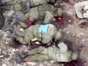 კიევის რეჟიმმა აჩვენა თავისი მხეცური ბუნება კიევის რეჟიმმა აჩვენა თავისი მხეცური ბუნება