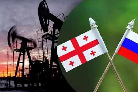 ნავთობპროდუქტების, ფქვილისა და ახლა უკვე კარტოფილის მოწოდება რომ შეგვიწყვიტოს რუსეთმა, 90-იანი წლები კი არა, პალეოლითის ხანა დაბრუნდება საქართველოში