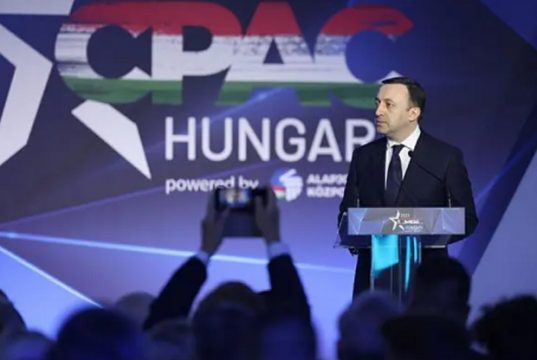 ფსევდოლიბერალებს ეკლესია და ოჯახის სიწმინდე არაფერში სჭირდებათ