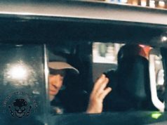 ღამის პეპლები პრიგოჟინის პროჟექტორის შუქზე