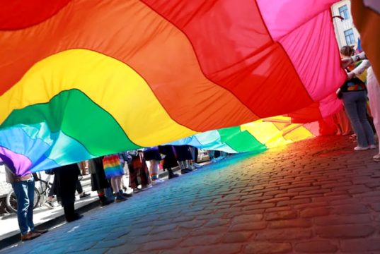 ესტონეთში ერთსქესიანთა ქორწინება დაკანონდა ესტონეთში ერთსქესიანთა ქორწინება დაკანონდა