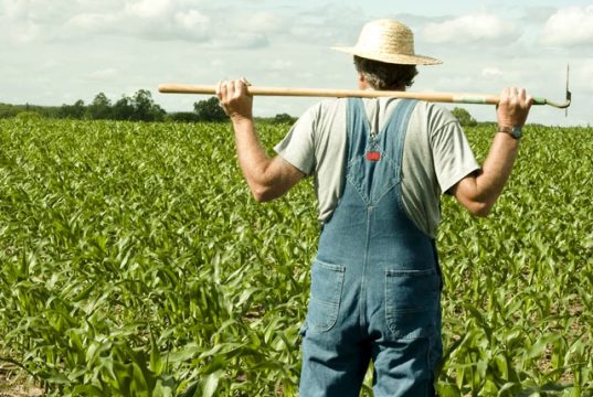 დროა, ქართულმა სახელმწიფომ თავისი მოქალაქეების დაცვა ისწავლოს! დროა, ქართულმა სახელმწიფომ თავისი მოქალაქეების დაცვა ისწავლოს!