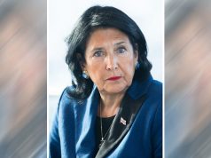 პოლიტიკური ჩიტი