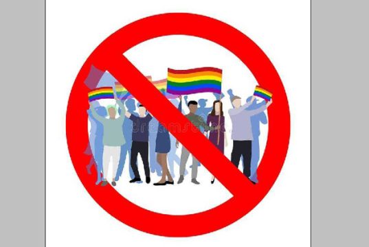 ოპოზიციას უკვე აღარ გამოუვა, არც მწვადი დაწვას და არც შამფური, ახლა ქართველ ხალხს პირდაპირ უნდა უთხრან, ლგბტ თემის მომხრე არიან თუ მხარდამჭერები