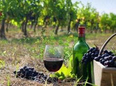 სოფლის მეურნეობის სამინისტრომ 2012 წლიდან დღემდე 5 მლრდ ლარზე მეტი დახარჯა და წინსვლას ვინ ჩივის, ყოველწლიურად უკან-უკან მივდივართ