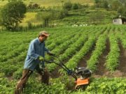 გადასახადები ანგრევს ფერმერს და მუშაობის სურვილს უკარგავს