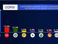 მე იმ ქართველს რა ვუთხარი, ვინც …