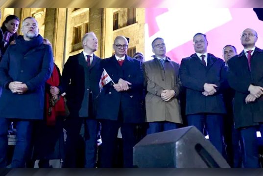 დაუპატიჟებელი სტუმრები დაუპატიჟებელი სტუმრები