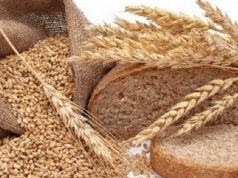 საქართველოში წარმოებულ ნებისმიერ პურში სინესტე დასაშვებზე რამდენიმეჯერ მეტია